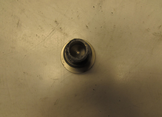 Overig BMW R 1100 GS