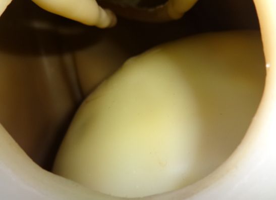 Tank Aprilia RST 1000 Futura