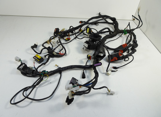 Wire Harness Aprilia Dorsoduro 750