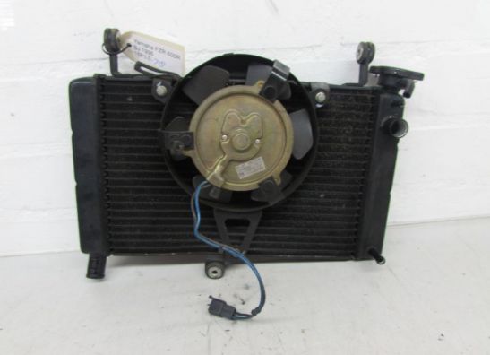 Radiateur Yamaha FZR 600
