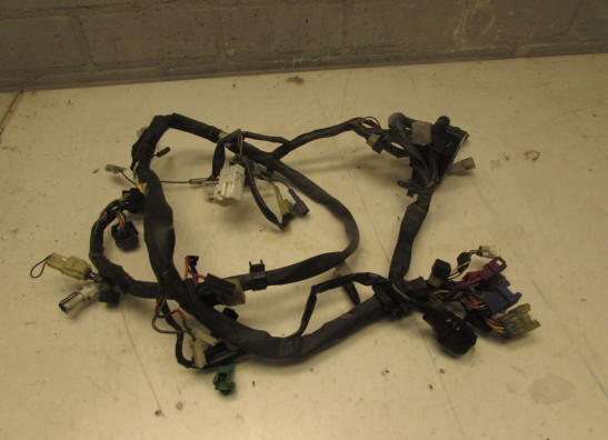 Wire Harness Yamaha FAZER 600