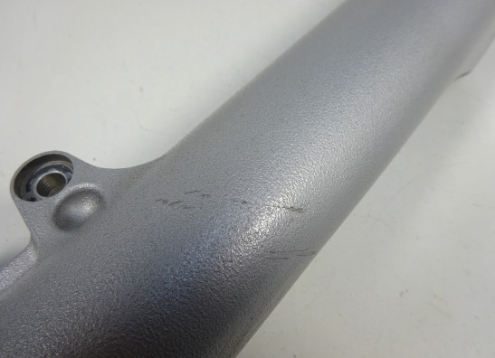 Standrohr Gabelholm rechts komplett BMW R 1200 RT