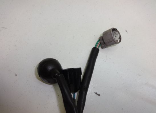 Motorblock Sonstiges Honda CBR 1100 XX