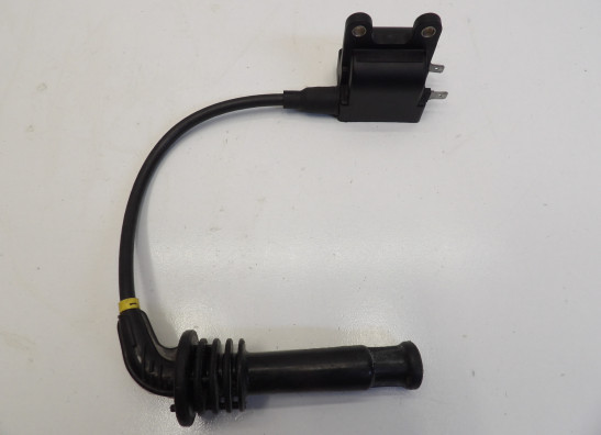 Bobine Triumph Thunderbird 900