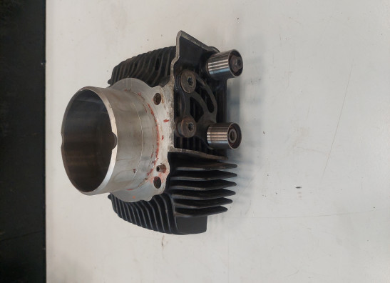 Cilinderblok Ducati monster 696