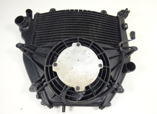 Kuhler BMW K 1200 R 