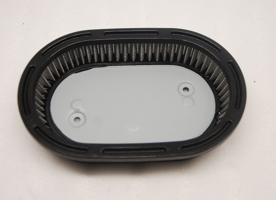 Luchtfilter Harley Davidson Softtail