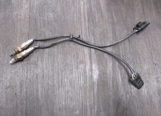 Oxygen sensor BMW R 1250 R