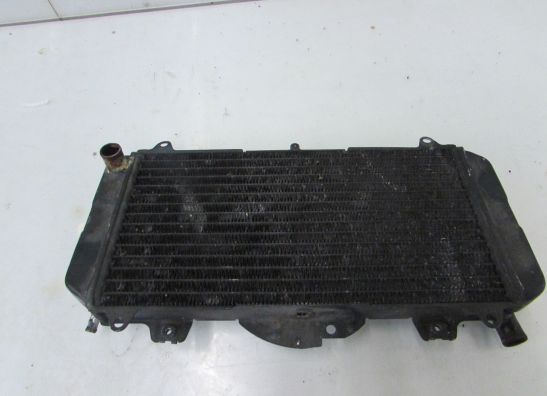 Kuhler Yamaha FZR 600