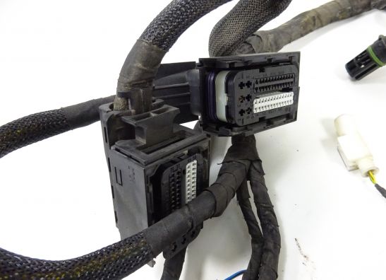 Wire Harness BMW F 800 S - ST