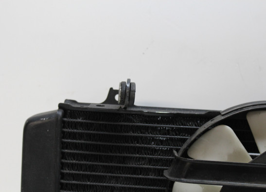 Radiateur Yamaha FZR 750 R OWO1