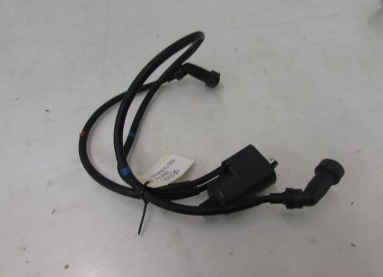 Bobine Yamaha XJ 900 S Diversion