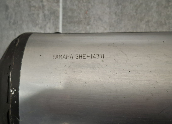 Auspuff Yamaha FZR 600