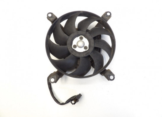 Fan Yamaha FZ6