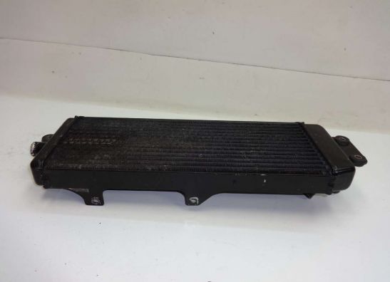 Kuhler Suzuki VX 800