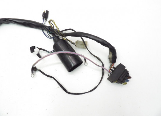 Kabelbaum Aprilia Pegaso