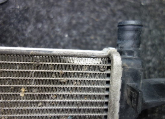 Kuhler BMW R 1200 GS LC