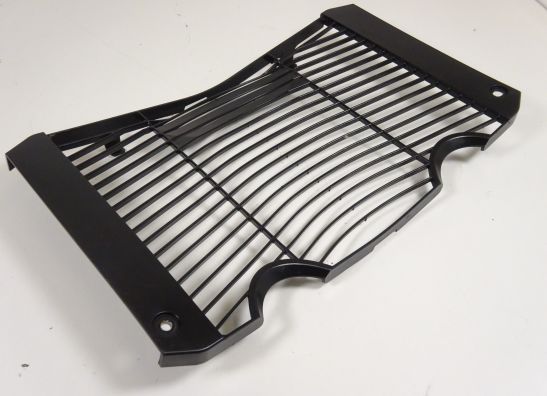 Kuhler Teile Yamaha FZ1