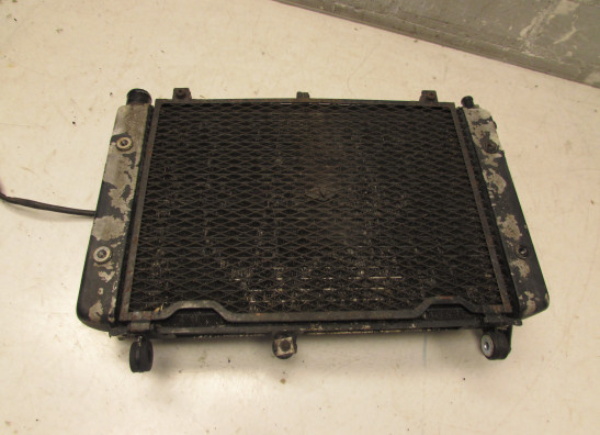 Radiator Yamaha FAZER 1000