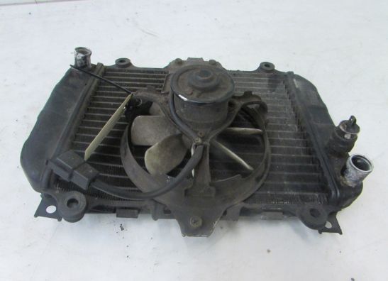 Kuhler Kawasaki KLE 500