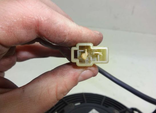 Fan Triumph Sprint 900 Executive