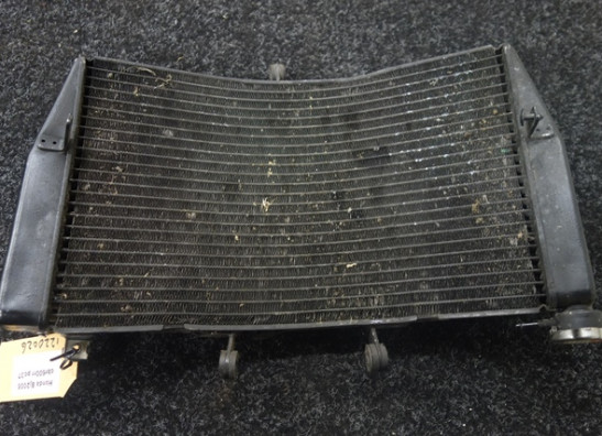 Kuhler Honda CBR 600 RR