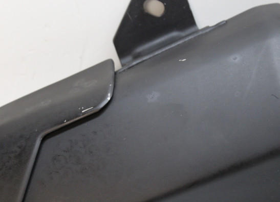 Auspuff Kawasaki Z 1000