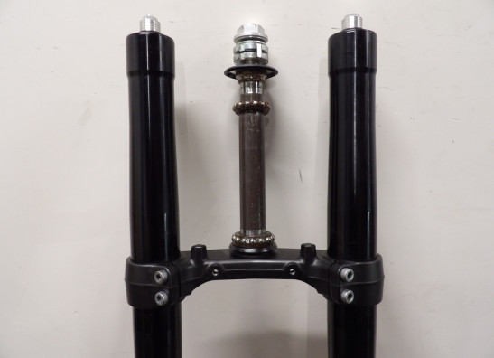 Voorpoten compleet Yamaha XSR 900