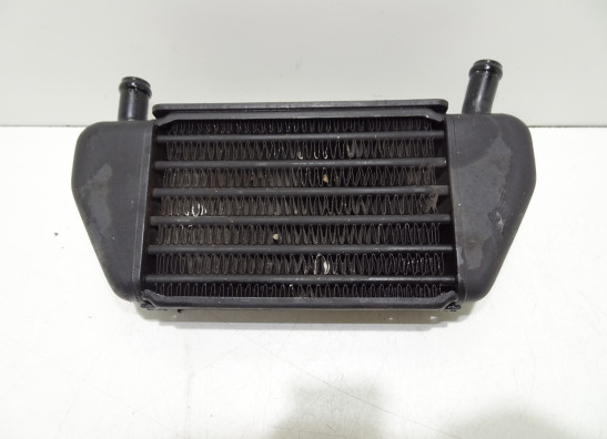 Olkuhler BMW R 850 R