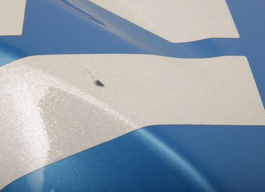 Cowl right Suzuki GSX R 600