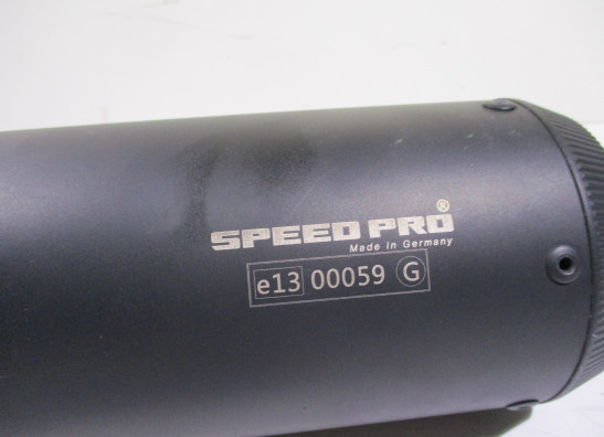 Sports exhaust BMW F 900 R