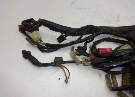 Wire Harness Honda Goldwing GL