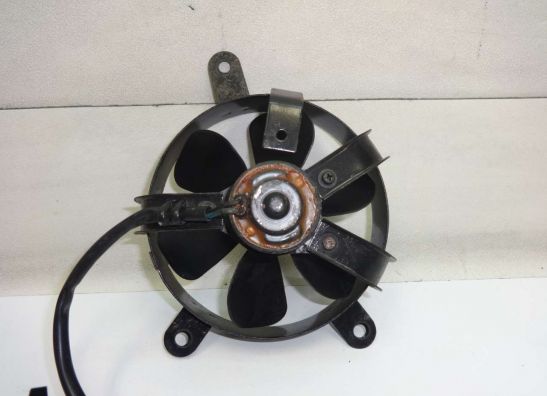 Fan Suzuki Burgman 400