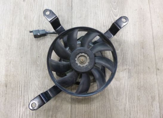Fan Kawasaki ZX 250 R - Ninja 250 R