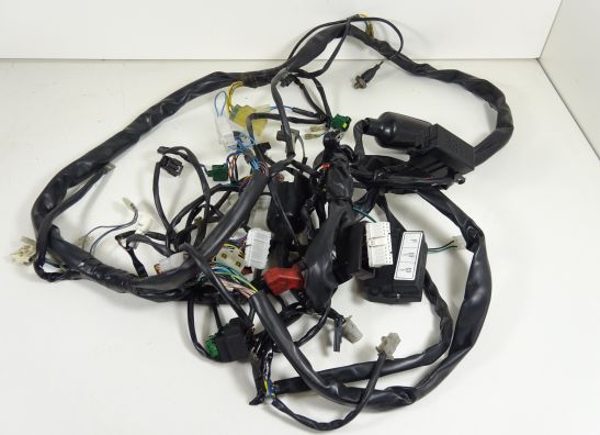 Kabelboom Aprilia RSV 1000 1998-2000