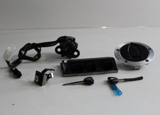 Schlosssatz Kawasaki ZX 10 R