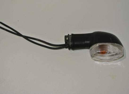 Winker right rear Yamaha MT 09