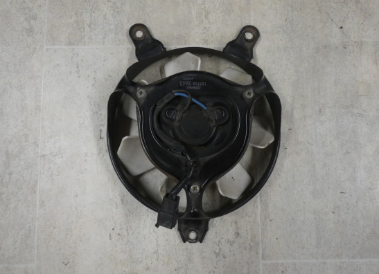 Ventilator Triumph 955 daytona