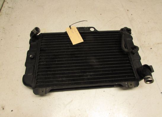 Radiateur Suzuki Madura 1200