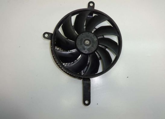 Fan Suzuki GSX R 600