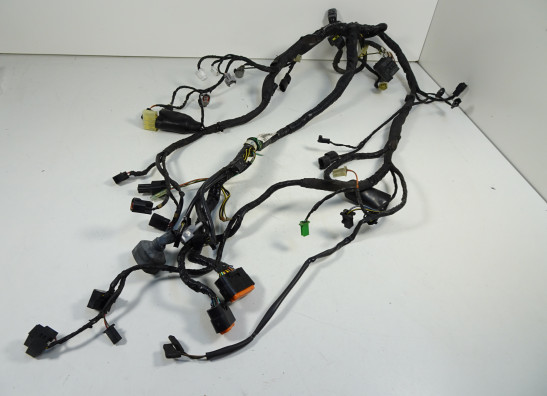 Wire Harness Kawasaki ER 6