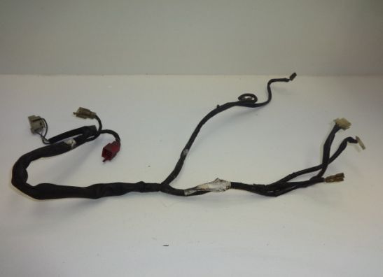 Wire harness front Honda PC 800
