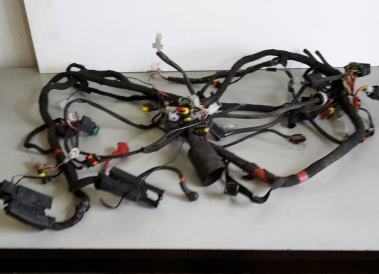 Kabelboom Aprilia RSV 1000 2004-2005, 2006-2008