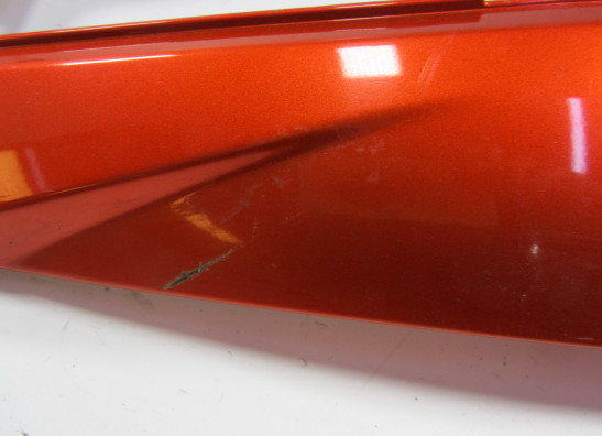 Heck Kawasaki Z 1000