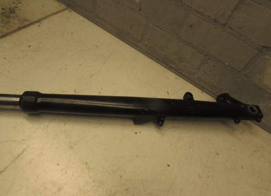 Standrohr Gabelholm links komplett BMW R 850 R