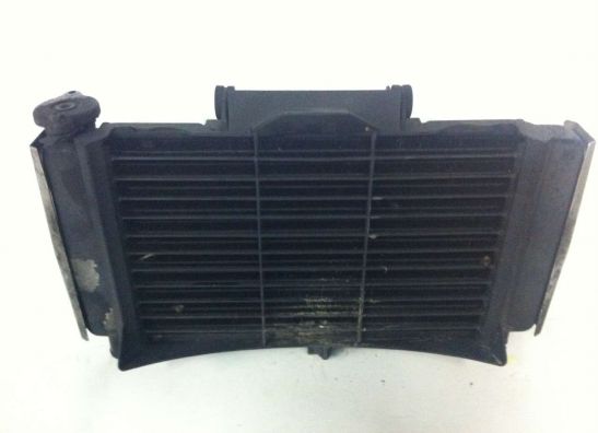 Radiateur Yamaha FAZER 600