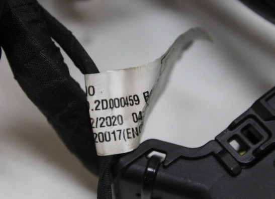 Kabelboom Aprilia RS 660