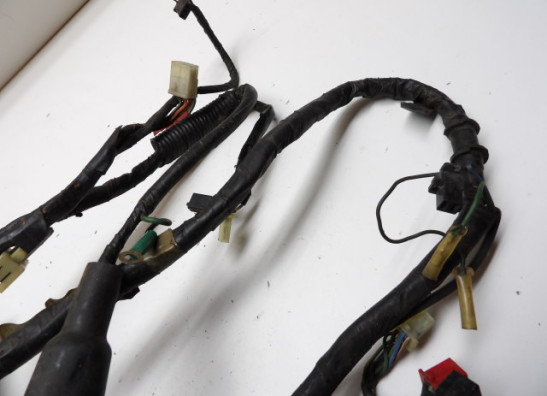 Kabelbaum Honda CBR 600 F