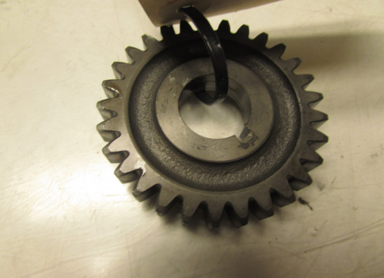 Engine parts Aprilia Tuono 1000