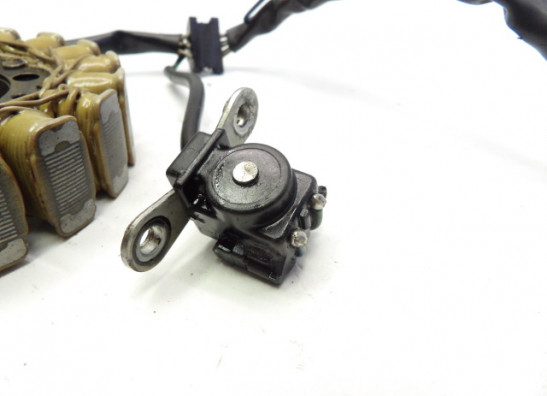 Dynamo Yamaha SZR 660